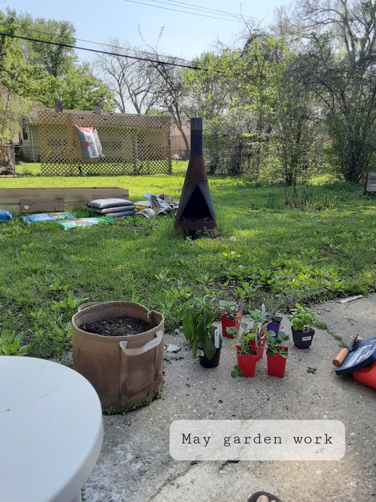 Picture of a messy yard in progress. In the foreground are a half dozen containers with basil, strawberry, and hot pepper plants. In the mid ground is a fire chimney and a raised bed with large bags of soil not yet opened nearby. In the background is a trellis with the Palestinian flag. 